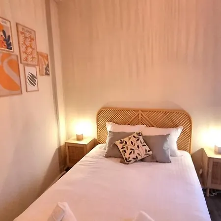 L'emile - Pres Des Halles - Parking Prive Apartment Pau